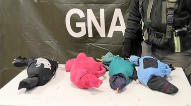 El pasajero de un micro de larga distancia llevaba cuatro gallos de riña encerrados en un bolso