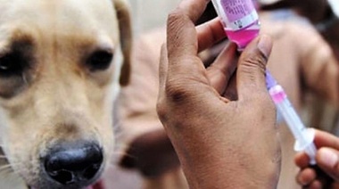 Zoonosis: Un problema global de salud pública cada vez más recurrente