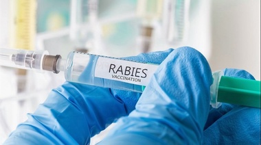 Posicionamiento de la Asociación Mundial Veterinaria sobre la rabia