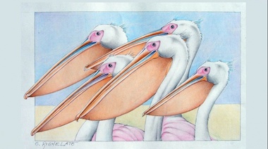 Hallan un ejemplar fósil de pelícano que constituye una nueva especie