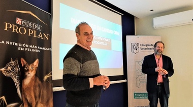 Odontología Veterinaria: El CVPBA realizó una nueva charla de su ciclo de conferencias