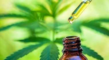 Incluyen el uso veterinario en la reglamentación de la ley de cannabis medicinal