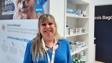 Mitos y realidades de la vacunación felina