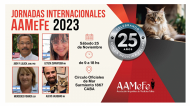 25 de Noviembre - Jornadas Internacionales AAMeFe 2023