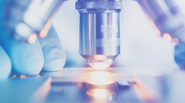 Preocupación por una mutación del virus de influenza aviar con mayor potencial zoonótico