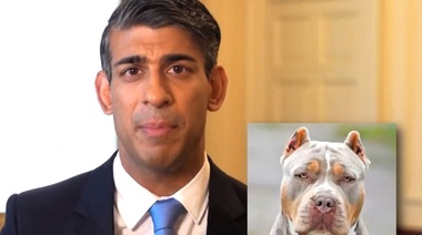 El Primer Ministro del Reino Unido anunció la prohibición de la raza canina American XL Bully