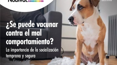 4 de Octubre - La importancia de la socialización