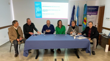 Avances en la jerarquización de los veterinarios de registro