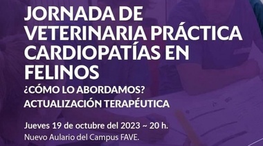 19 de octubre – Jornada de Veterinaria Práctica: Cardiopatías en Felinos
