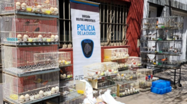 Clausuran criadero ilegal de aves en Villa Luro