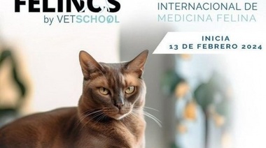 13 de Febrero - Diplomado Internacional de Medicina Felina