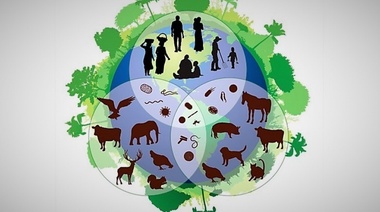 La OMS insta a los líderes mundiales a invertir en acciones de "Una Sola Salud"