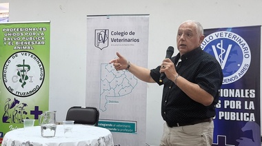 Conmovedores testimonios de médicos veterinarios en la Jornada contra la Violencia