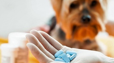 Se celebra la Semana Mundial de Concientización sobre la Resistencia de los Antimicrobianos