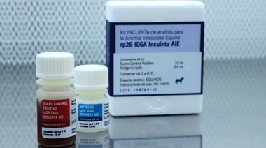 INTA: Duplican en tiempo récord la producción anual del kit de anemia infecciosa equina