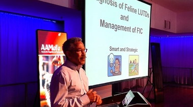 Se realizaron con éxito las Jornadas Internacionales AAMeFe 2023 en el marco de su 25° Aniversario