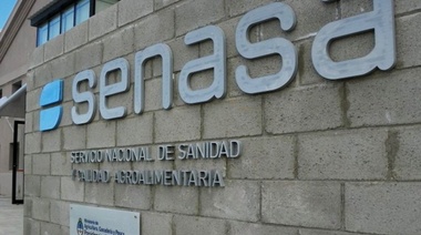 Encefalomielitis equinas: ¿En qué consisten las medidas sanitarias dispuestas por el Senasa?