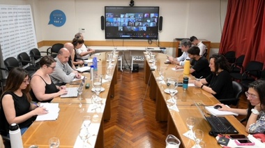 Reunión del Senasa con la Comisión Nacional de Sanidad y Bienestar de los Équidos