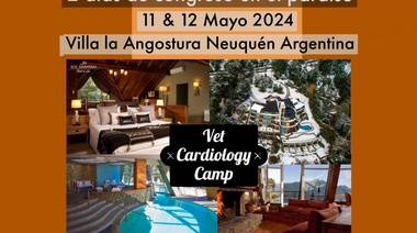 11 y 12 de Mayo - Congreso "Vet Cardiology Camp"