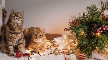 König lanza una nueva campaña para Serenex: “Ponete en su lugar”