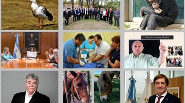 Las 10 noticias veterinarias más relevantes del 2023