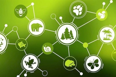 La urgente necesidad de reconstruir la biodiversidad