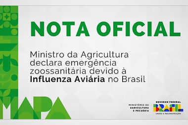 Brasil: Declaran la emergencia zoosanitaria por influenza aviar
