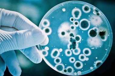 Un antiguo antibiótico natural podría ser clave contra las superbacterias
