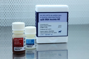 INTA: Duplican en tiempo récord la producción anual del kit de anemia infecciosa equina
