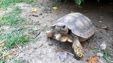 Reporte sobre el estado de la biodiversidad en Argentina
