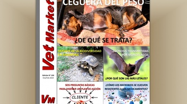 Ceguera del peso, Estado de la biodiversidad en Argentina, Plan de acción con foco en el cliente, RAM y Zoonosis transmitidas por murciélagos