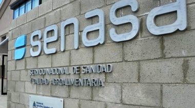 Senasa estableció la obligatoriedad de la vacunación de los equinos contra la encefalomielitis equina este y oeste