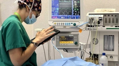 Reveladores datos sobre mortalidad anestésica en perros