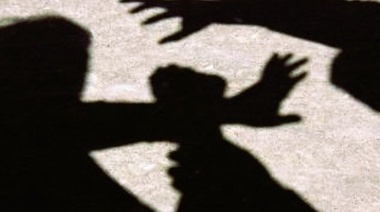 Los veterinarios pueden ayudar a detectar víctimas de violencia doméstica