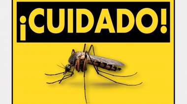 Mosquito: la criatura más mortífera del mundo