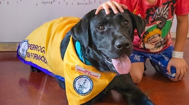 El Garrahan implementó por primera vez la terapia asistida con perros