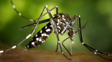 El brote de dengue en Argentina ya es histórico