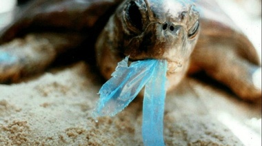 El plástico: una amenaza silenciosa para el planeta y sus habitantes