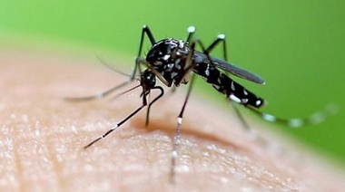 Por segunda semana consecutiva descienden los casos de dengue en Argentina