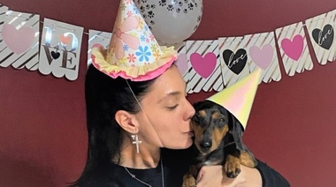 Latinoamérica es una de las regiones con mayor tasa de "humanización" de animales de compañía