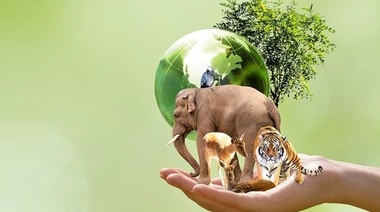 Biodiversidad: clave en la prevención de enfermedades zoonóticas