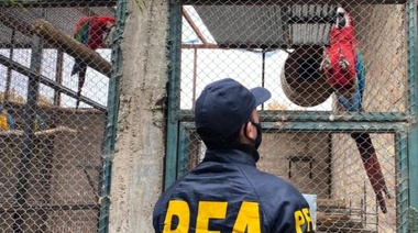 Desarticulan una importante red de tráfico de animales en distintas localidades argentinas