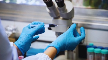 Desarrollan un nuevo método basado en la tecnología LAMP para detectar el Complejo Tristeza Bovina