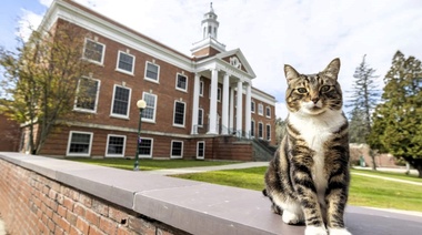 Max: el gato que obtuvo un doctorado