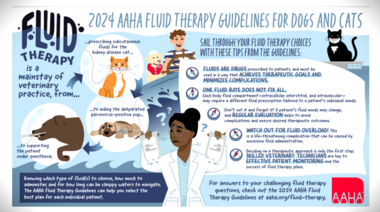 Nuevas pautas de terapia de fluido 2024 para perros y gatos de la AAHA