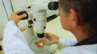 Estudian alternativas naturales para el control de parásitos internos