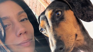 Nuevos requisitos para ingresar con perros a EE.UU.