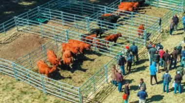 El INTA capacita a estudiantes de escuelas agropecuarias sobre procesos de gestión