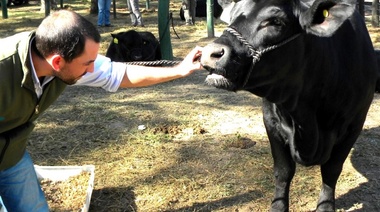 El Senasa solicita declarar novedades sanitarias a los establecimientos agropecuarios de Chaco y Formosa