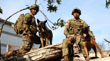 Un nuevo logro de los perros y guías de la Brigada USAR del Ejército Argentino